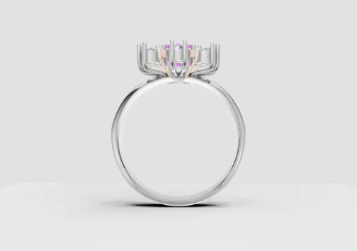 AN garimpeiro Feminino poster