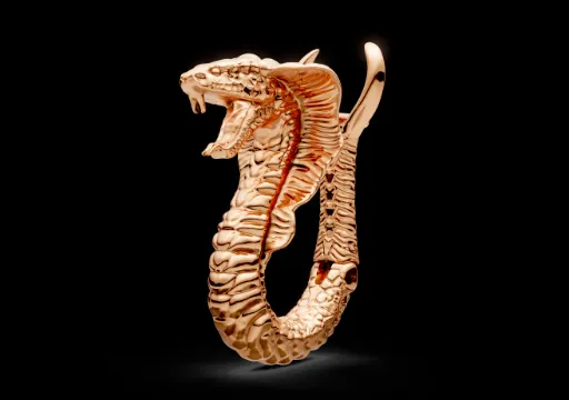 Snake earrings poster