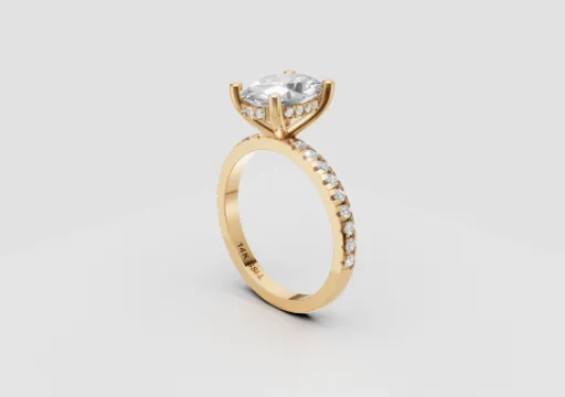 P5248-6001(Alexander)