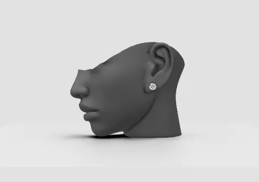 earrings with stud poster
