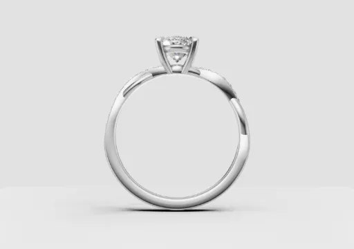 טבעת מסולסלת אריאל poster