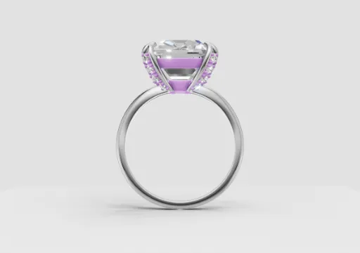 v3batut in pietre pe petale poster