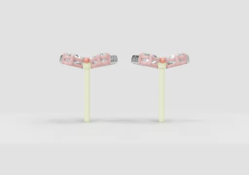 prezentare 1 cm poster