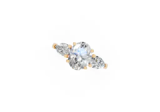 S RING-81