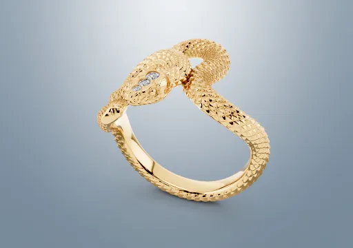 Snake Ring poster