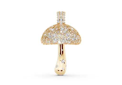 Magic Mushroom poster