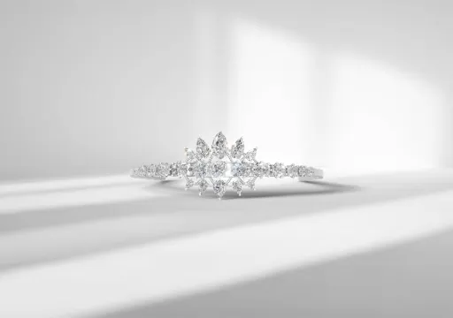 Diadem with 23 Diamonds poster