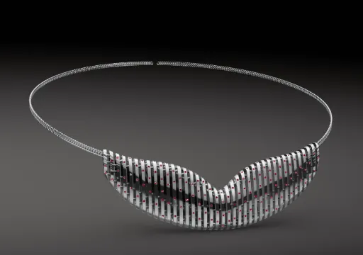 1006_Wal_Flosse poster