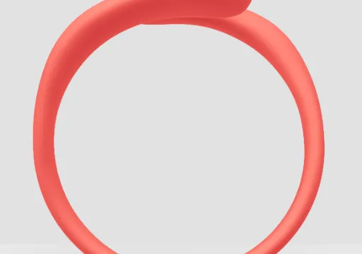 An Golfinho Bris Fernando