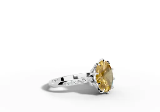 anel catedral life poster