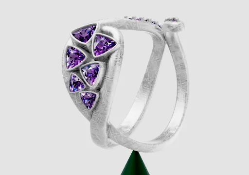 Enchanted prism ring poster