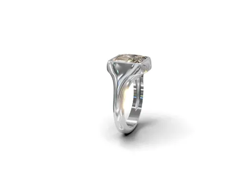 Occto Signet ring poster