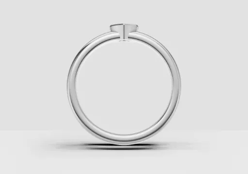 PMJ169_MAYRAGANDARILLA_SETARGOLLASMATRIMONIO_CORAZÓN (1) poster