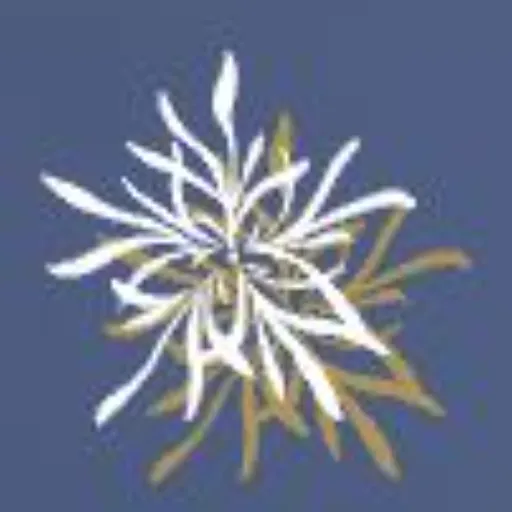 inbloomjewelry portfolio