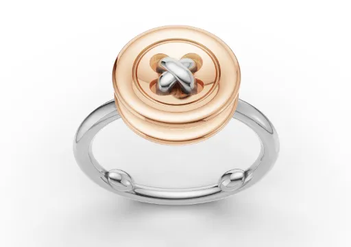 bouton_ring_49_10mm_render_20260429 poster