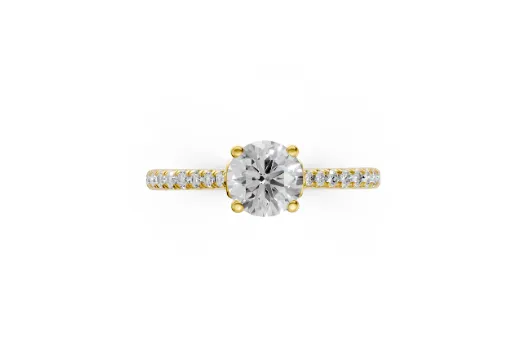 RN-000019-ENG
