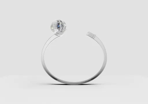 Carrolus Rendering File poster