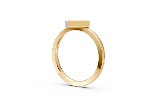 Raichelle Rendering File poster