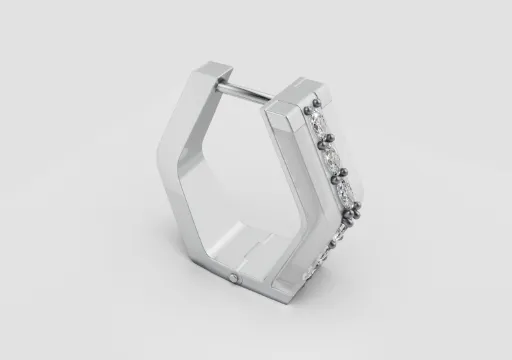 HEXAGON earrings20 poster