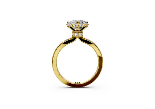 Minimalist double hidden halo_no milgrain_WEB poster