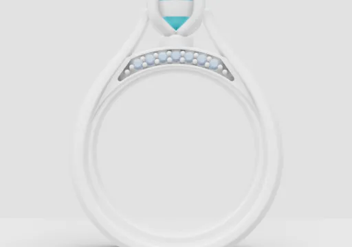 Anna 8.5_for presentation poster