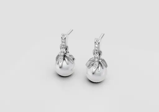 Earrings poster