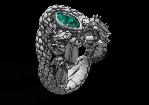ARAGORN_RING_smaller poster