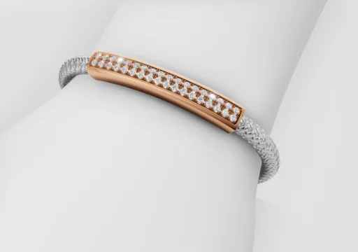 Extensible Armband poster