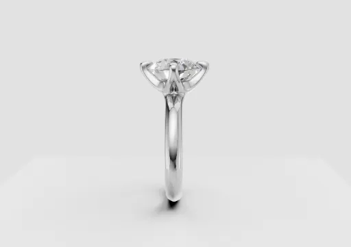 Ring solitary poster