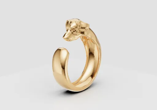 Anel cachorro anatomico poster