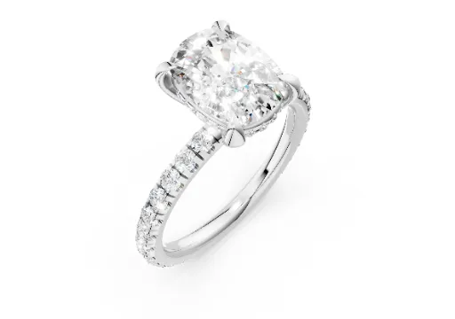 32215 - 6926 cushion 2ct poster