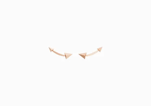 Arrow flat earrings Rendi hamar R6